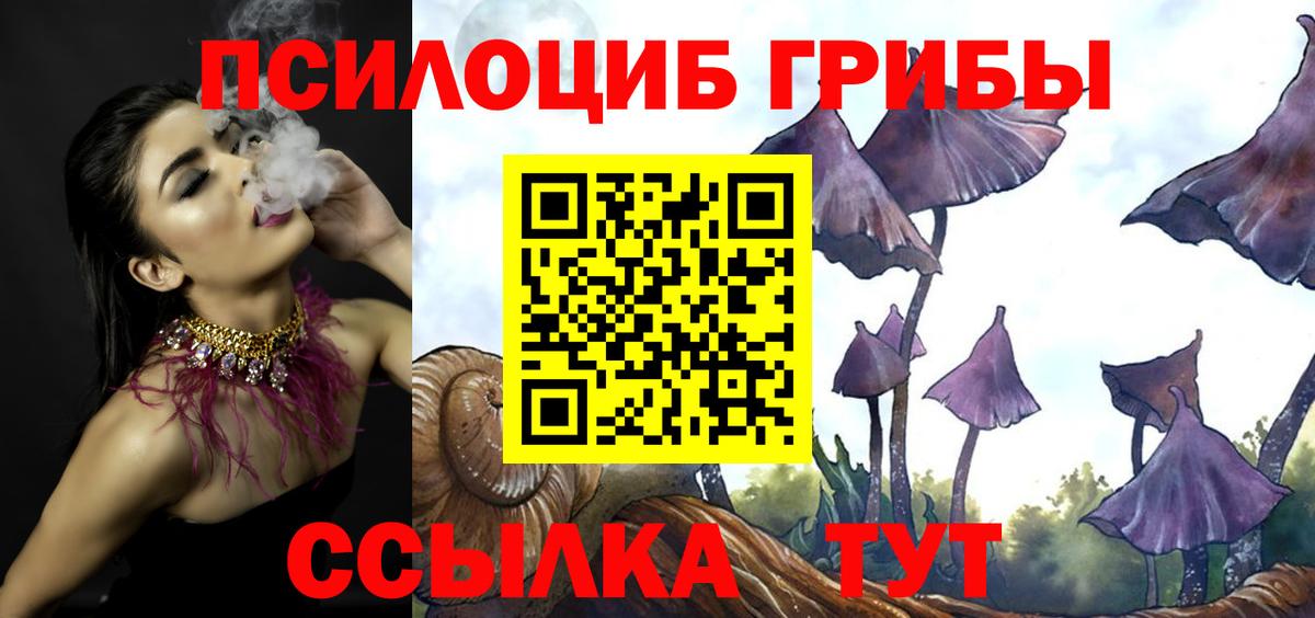 Галлюциногенные грибы Cubensis Ивантеевка