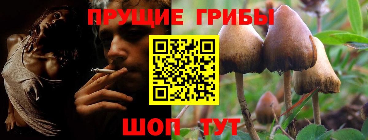 Галлюциногенные грибы Cubensis  Вход с VPN  Псилоцибиновые грибы ЛСД  Ивантеевка 